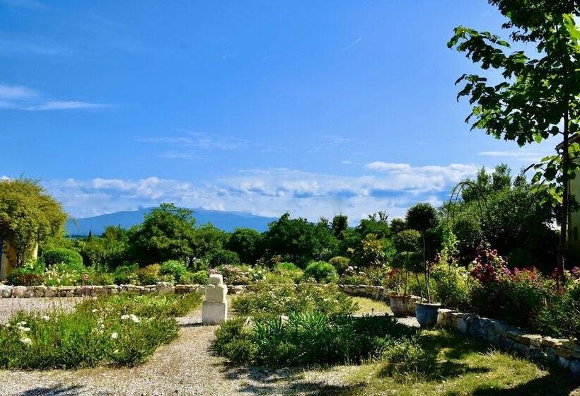 Номер Стандарт, Bastide Saint Didier