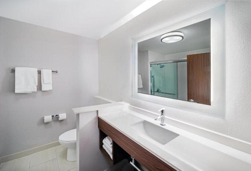 キングサイズベッドのスタンダードルーム, Holiday Inn Express & Suites   Houston   N Downtown, An Ihg
