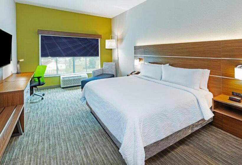 キングサイズベッドのスタンダードルーム, Holiday Inn Express & Suites   Houston   N Downtown, An Ihg