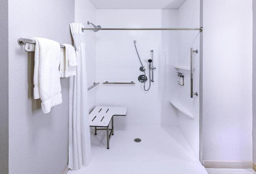 身障者適用スタンダードルーム, Holiday Inn Express & Suites   Houston   N Downtown, An Ihg