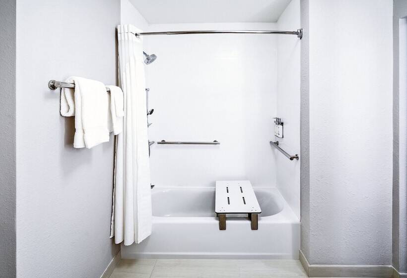 身障者適用スイートルーム, Holiday Inn Express & Suites   Houston   N Downtown, An Ihg