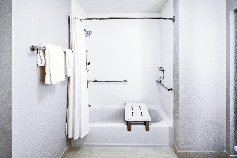 身障者適用スイートルーム, Holiday Inn Express & Suites   Houston   N Downtown, An Ihg