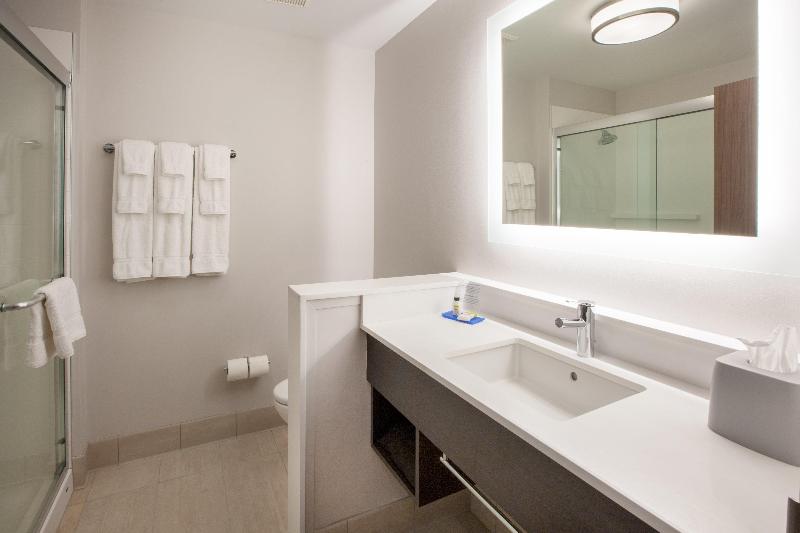 キングサイズベッドのスタンダードルーム, Holiday Inn Express & Suites   Houston   N Downtown, An Ihg