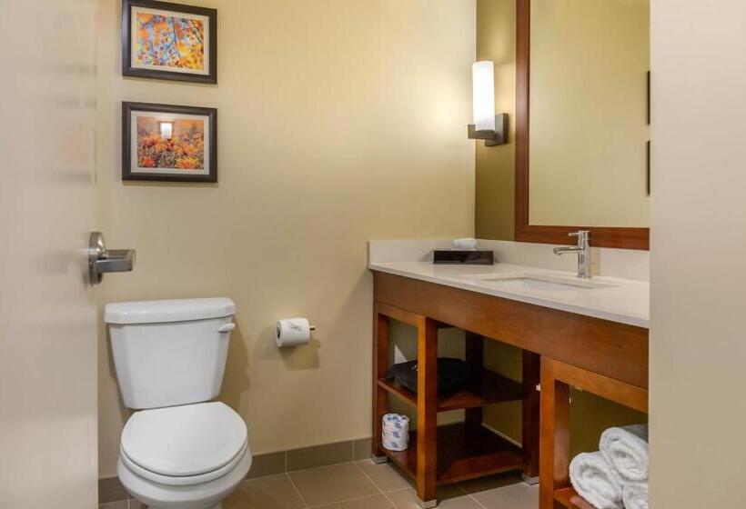 Номер Стандарт, Comfort Inn & Suites Amish Country