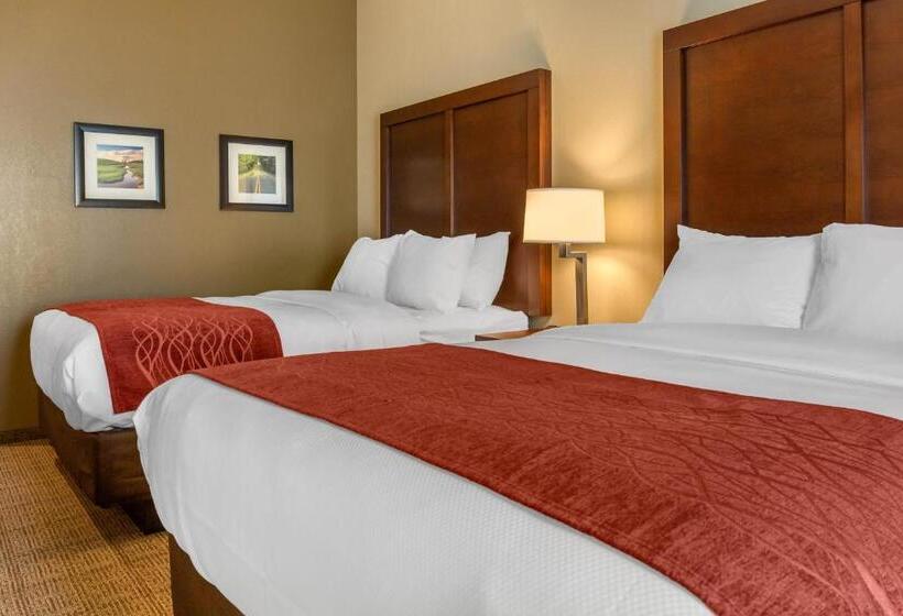 Номер Стандарт, Comfort Inn & Suites Amish Country