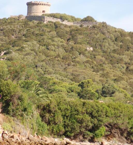 اتاق استاندارد, Campomoro