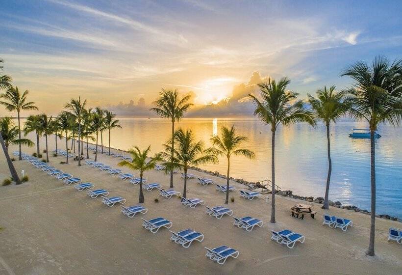 סטודיו סטנדרט מיטה זוגית, Islander Resort