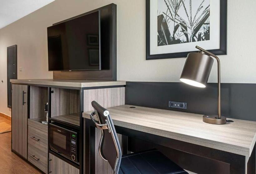 身障者適用キングサイズベッドルーム, Best Western Plus Greenwood Indy South Inn
