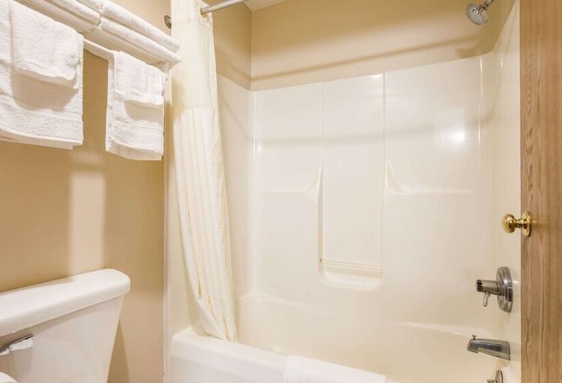 Номер Стандарт 2 Двуспальные Кровати, Econo Lodge