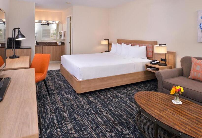 Стандартный Номер Кровать Кинг, La Fuente Inn & Suites