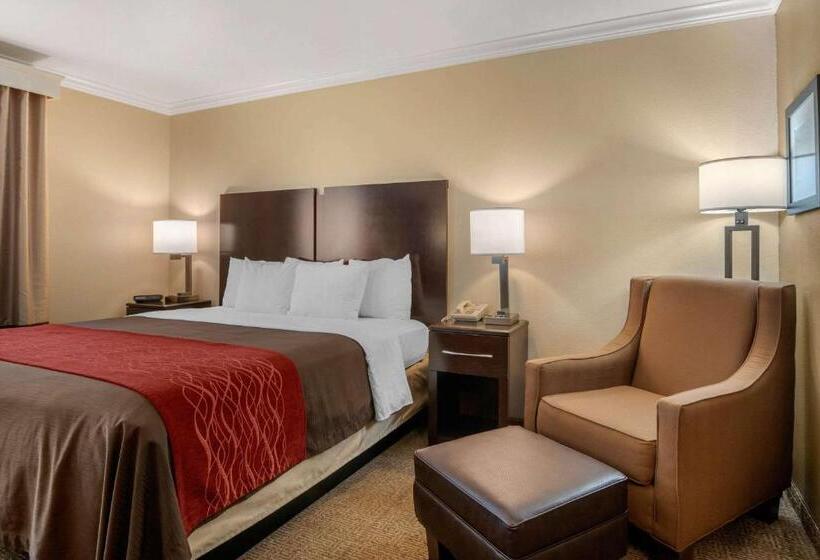 Номер Стандарт, Comfort Inn Columbia Gorge