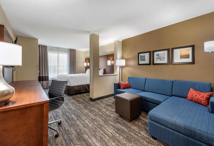 Люкс Адаптированный для Инвалидов, Comfort Suites