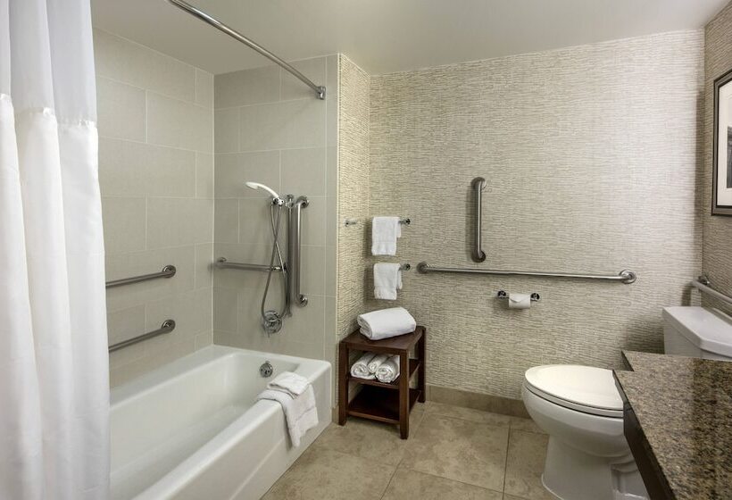 스탠다드 룸 더블 침대, Denver Airport Marriott At Gateway Park