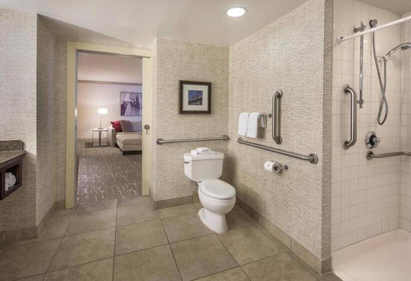 디럭스 스위트 킹 침대, Denver Airport Marriott At Gateway Park