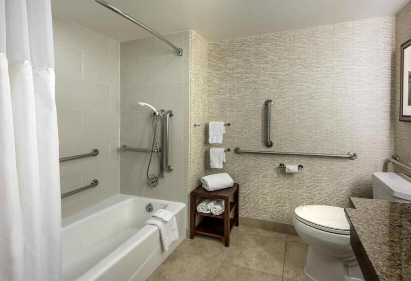스탠다드 룸 더블 침대 2개, Denver Airport Marriott At Gateway Park
