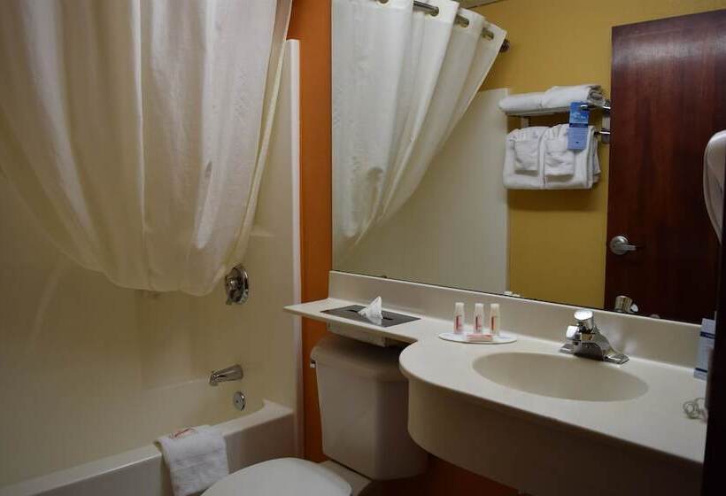 스위트, Microtel Inn & Suites By Wyndham Rock Hill/charlotte Area