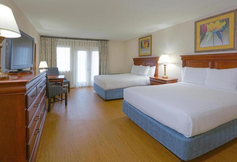 デラックスルーム, Music Road Resort Hotel And Inn