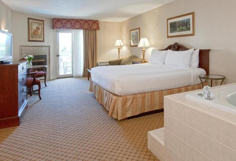 プレミアムルーム, Music Road Resort Hotel And Inn