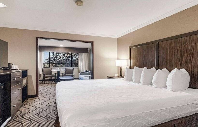 Люкс, Best Western Plus Orchid Hotel & Suites