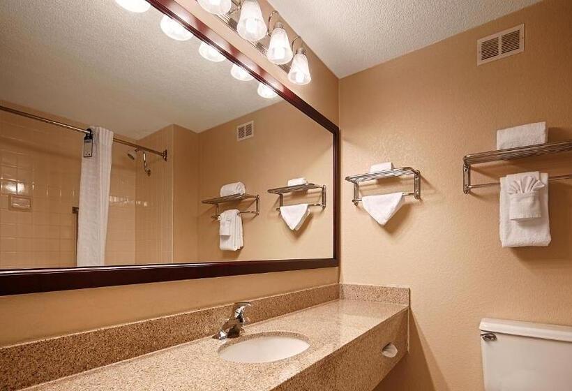 Номер Executive Кровать Кинг, Best Western Plus Orchid Hotel & Suites