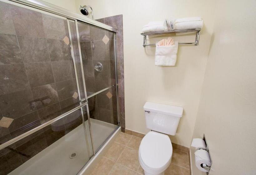 Люкс, Best Western Plus Orchid Hotel & Suites