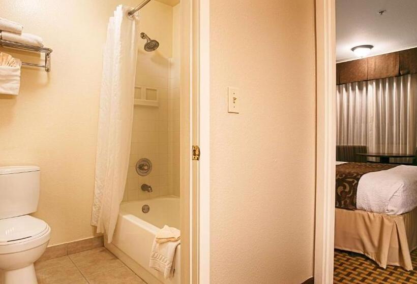 Номер Стандарт, Best Western Plus Orchid Hotel & Suites