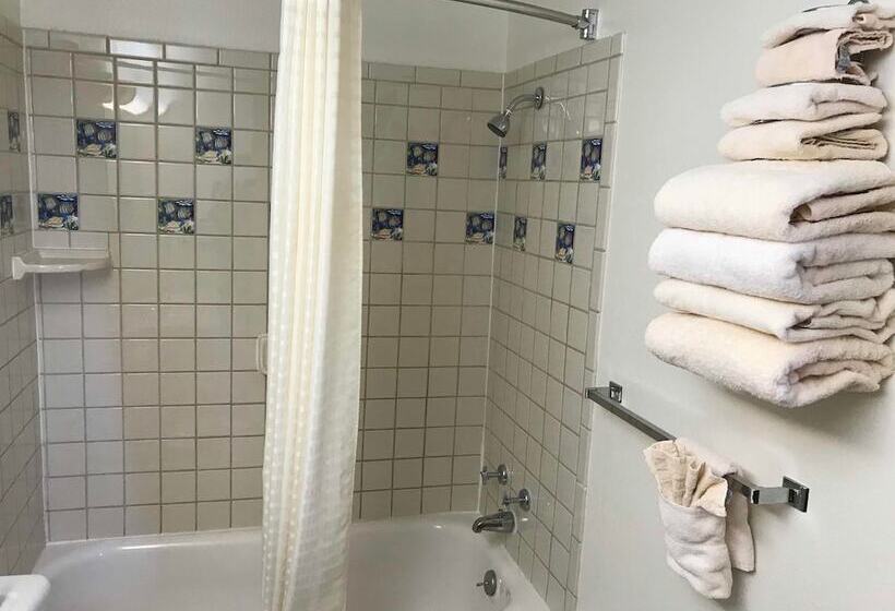 Номер Стандарт 2 Двуспальные Кровати, Paintbrush Motel