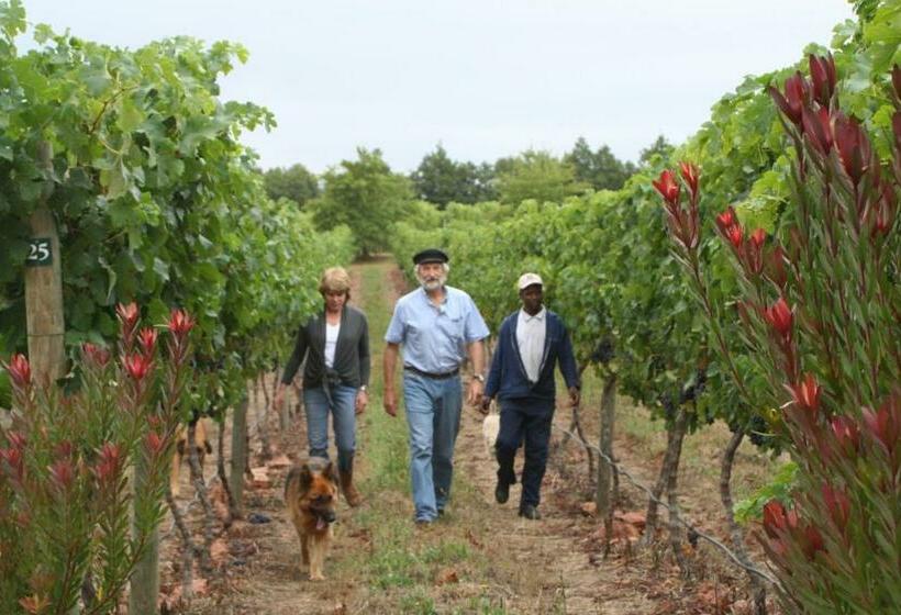 Стандартный Номер Кровать Кинг, Belfield Wines And Farm Cottages