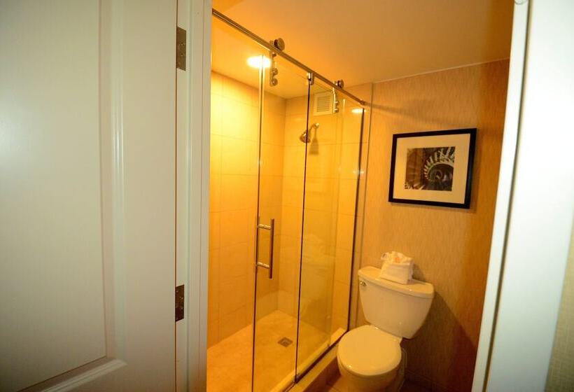 스탠다드 룸, Crowne Plaza Boston   Woburn, An Ihg