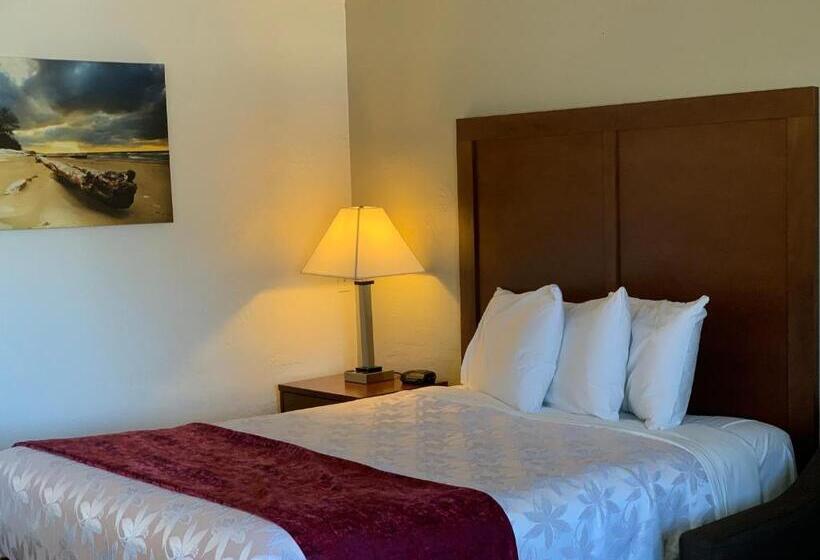 Номер Стандарт, Red Carpet Inn Medford