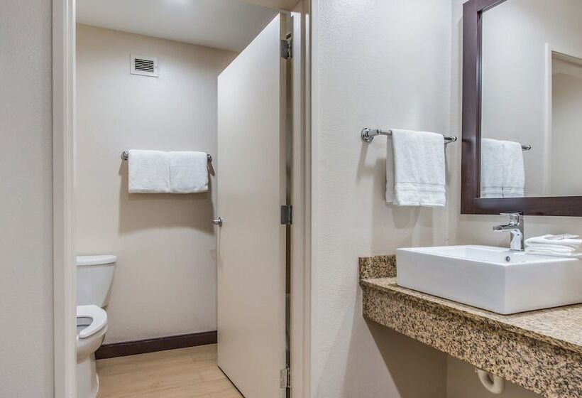 Номер Стандарт 2 Двуспальные Кровати, Red Roof Inn Phoenix North   I 17 At Bell Rd