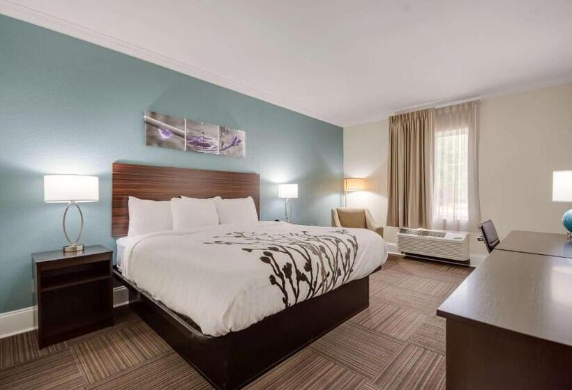 Стандартный Номер Кровать Кинг, Sleep Inn & Suites Niceville   Destin
