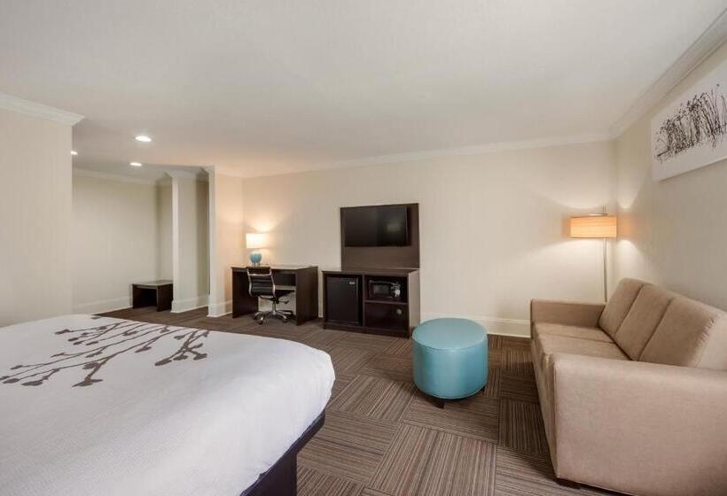 Люкс Кровать Кинг, Sleep Inn & Suites Niceville   Destin