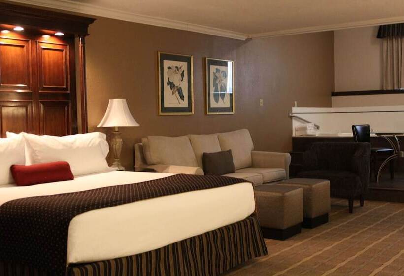 스위트, Wyndham Garden Warsaw