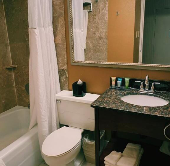 스탠다드 룸 킹사이즈 침대, Wyndham Garden Warsaw