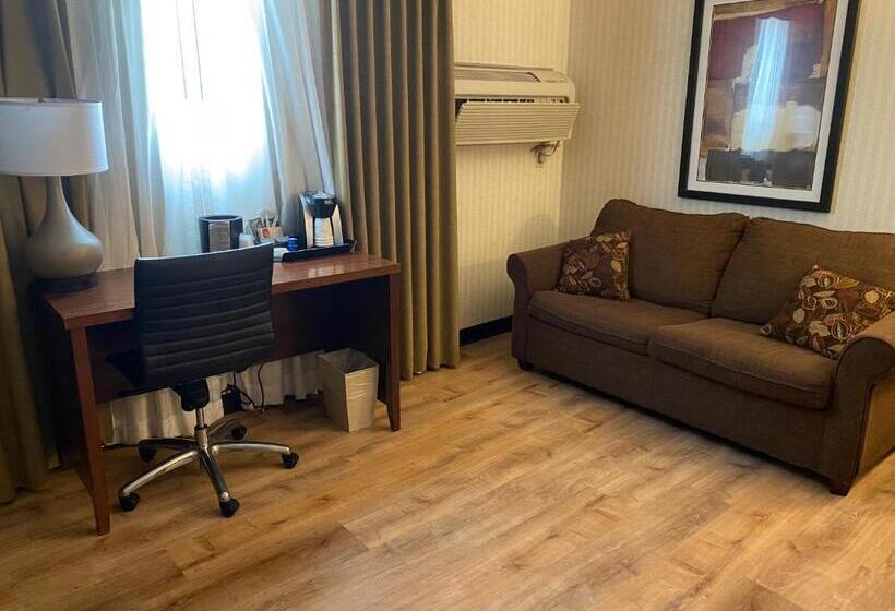 스위트, Wyndham Garden Warsaw