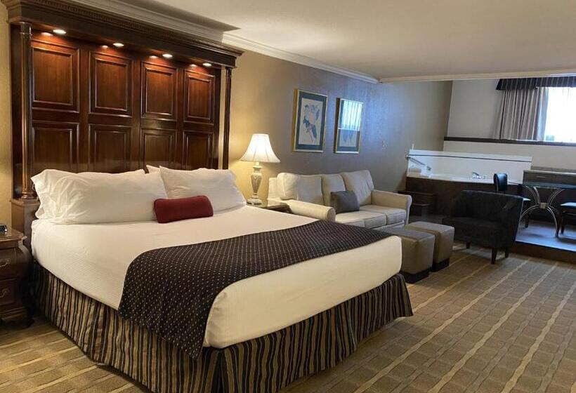스위트 킹사이즈 침대, Wyndham Garden Warsaw