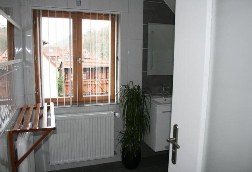 Номер Deluxe, Chambre D'hotes Petit Arnsbourg