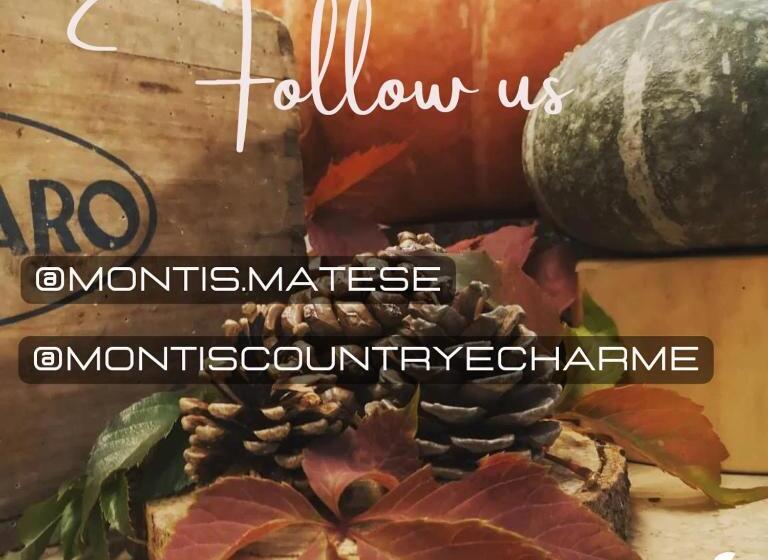 اتاق لوکس با بالکن, Montis Country & Charme