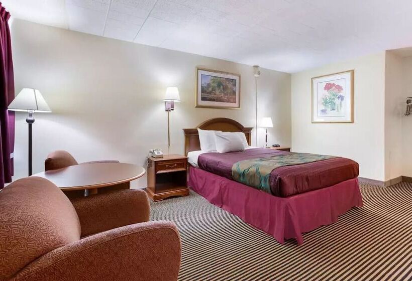 스탠다드 룸, Royal Inn Clearfield