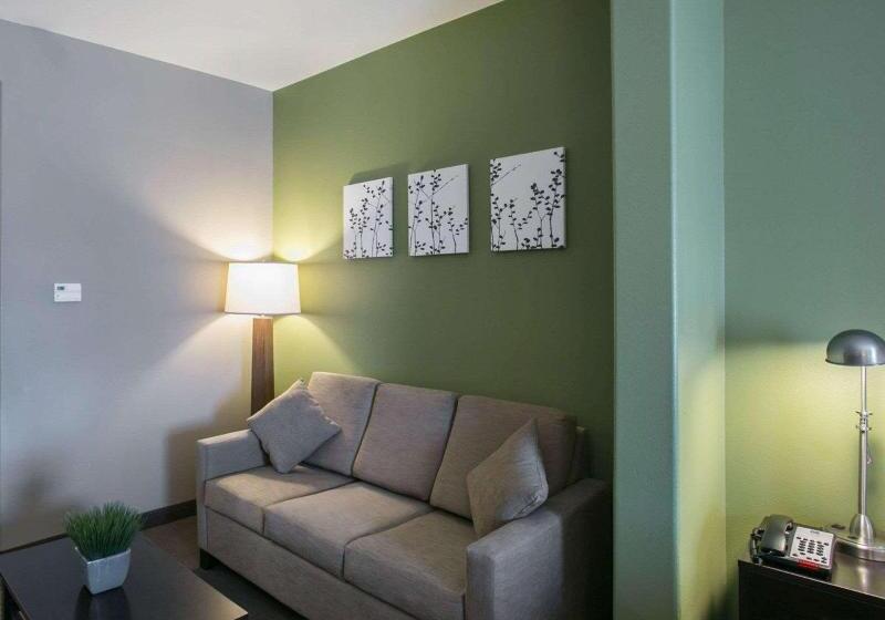 Люкс Кровать Кинг, Sleep Inn & Suites Round Rock   Austin North