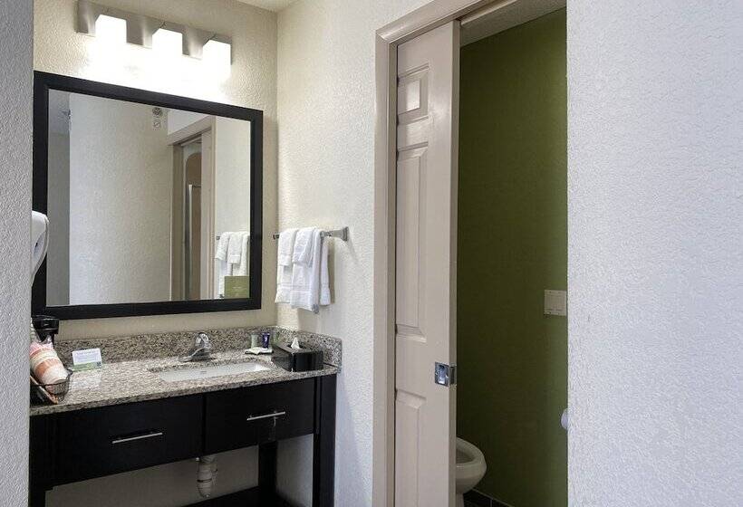 Номер Стандарт 2 Двуспальные Кровати, Sleep Inn Louisville Airport & Expo