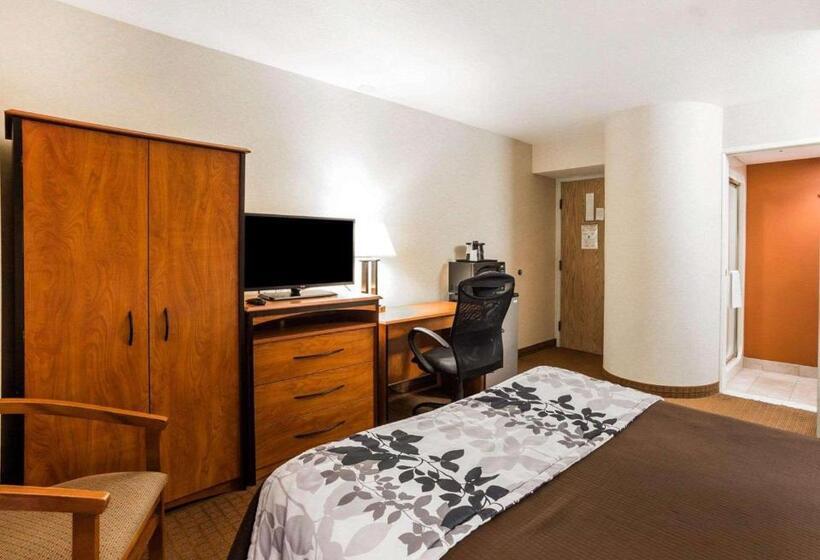 Номер Стандарт, Sleep Inn South Jordansandy