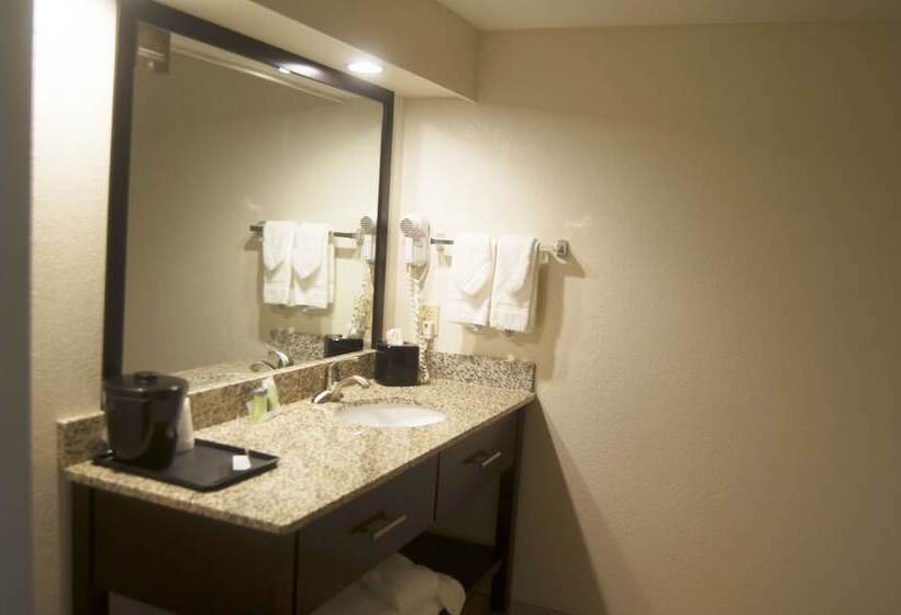 Люкс, Sleep Inn & Suites Buffalo Airport