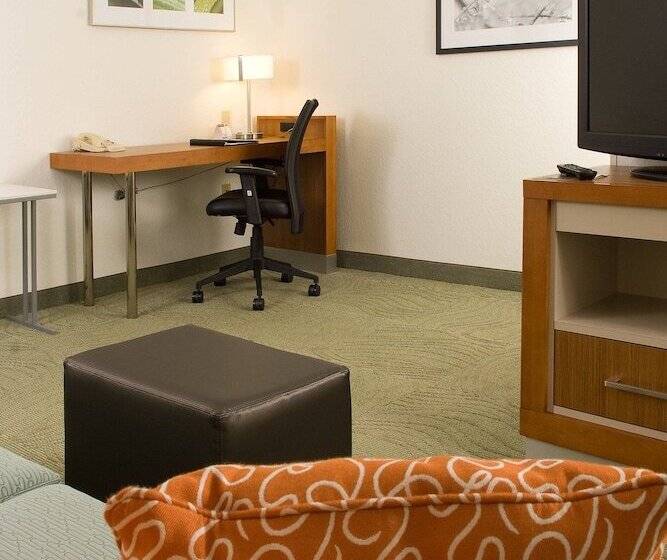 Люкс, Springhill Suites By Marriott Orlando Convention Center