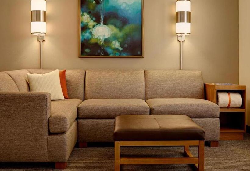 Habitació Estàndard Adaptada per a Discapacitats, Hyatt Place San Antonio Riverwalk