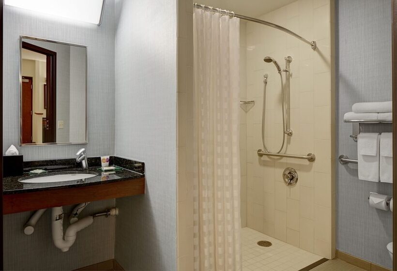 Habitació Estàndard Adaptada per a Discapacitats, Hyatt Place San Antonio Riverwalk