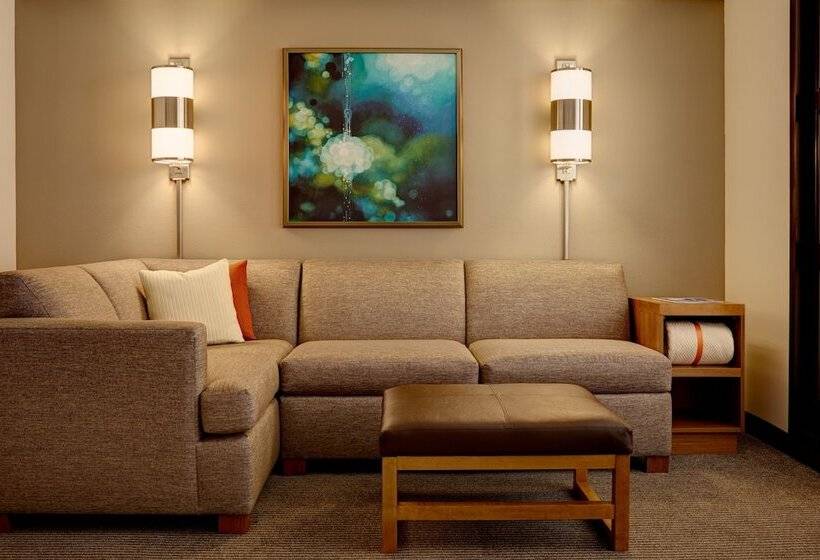 Habitació Estàndard Adaptada per a Discapacitats, Hyatt Place San Antonio Riverwalk