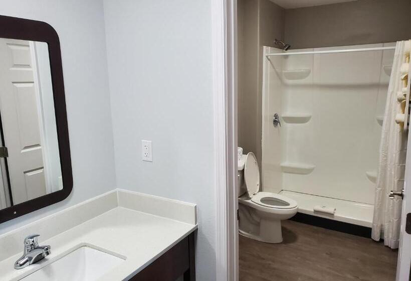장애인을 위한 스탠다드 룸, Motel 6show Low, Az