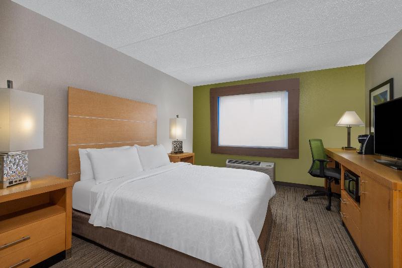 스탠다드 룸 킹사이즈 침대, Holiday Inn Express & Suites Wheat Ridge Denver West, An Ihg